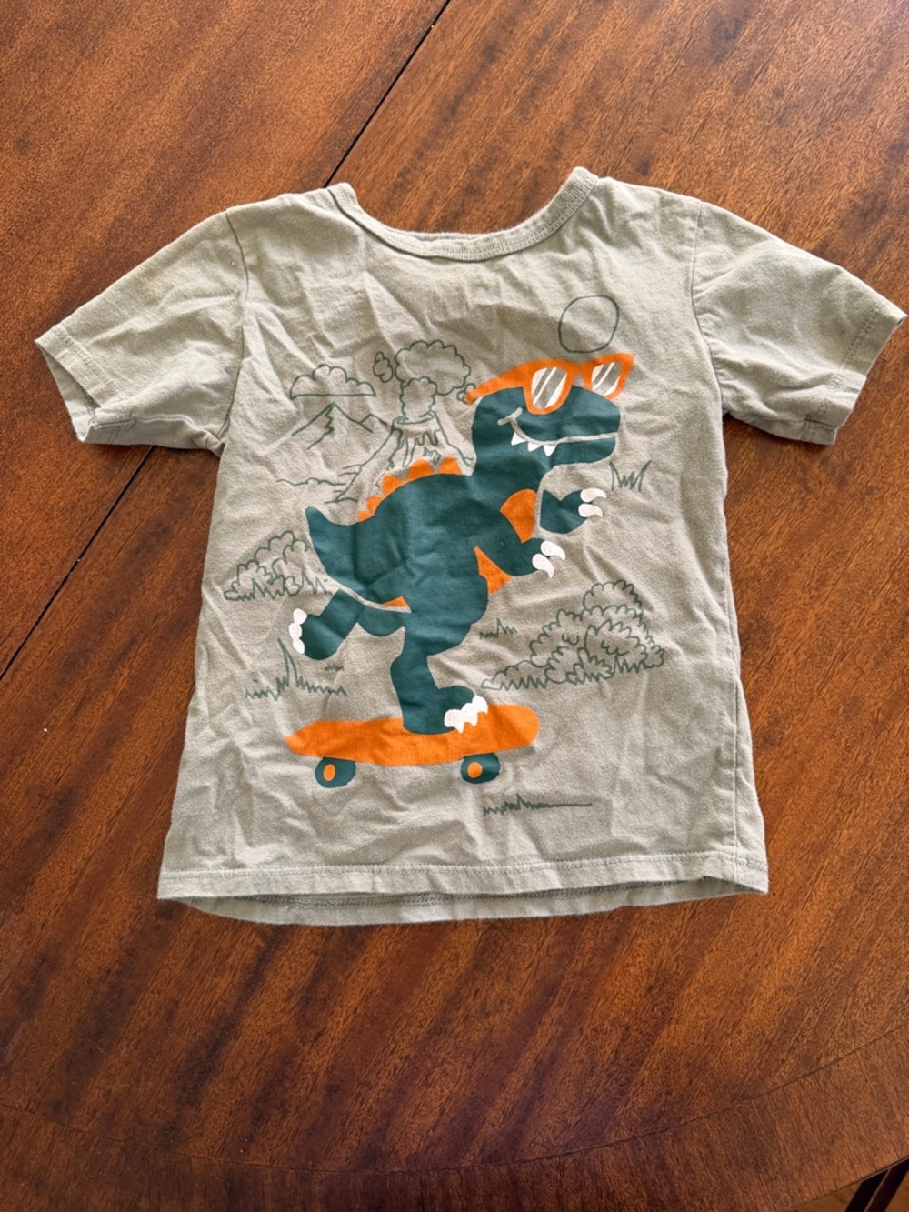 Bogo Kids Dino Skateboard Graphic Tee - Gray/Green/Orange